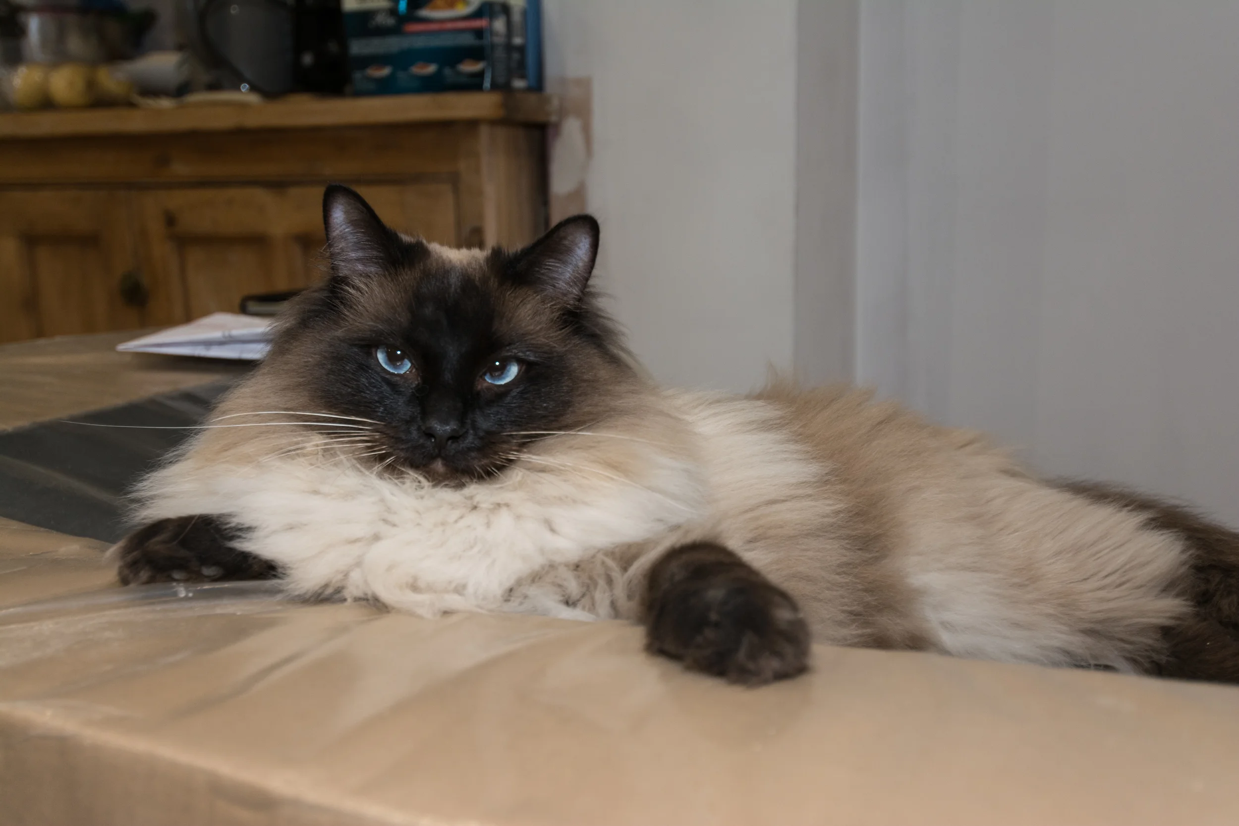 D71_1394.jpg