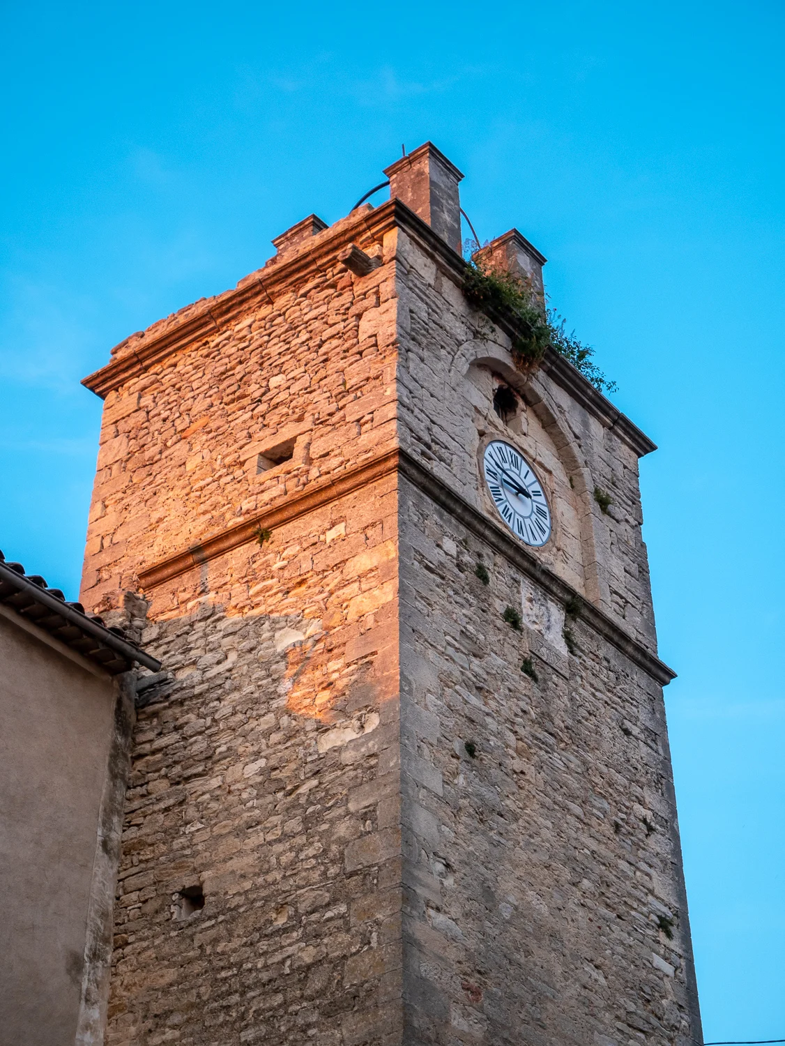 086-P1010455.jpg
