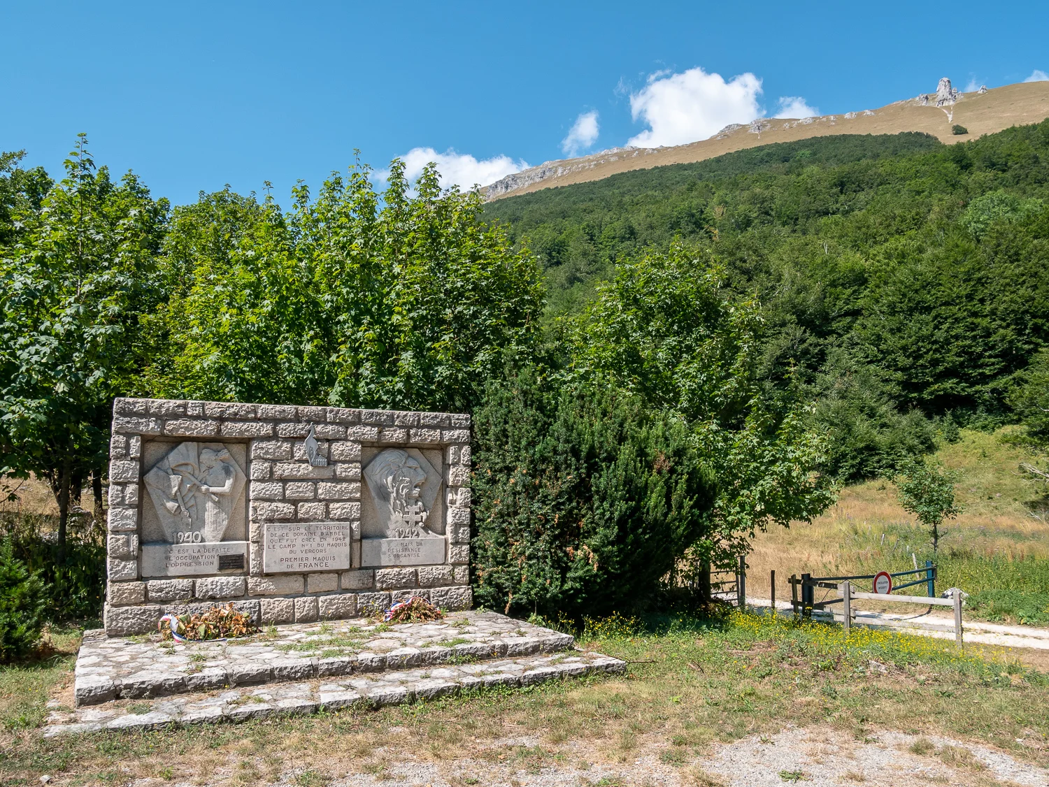 107-P1010705.jpg