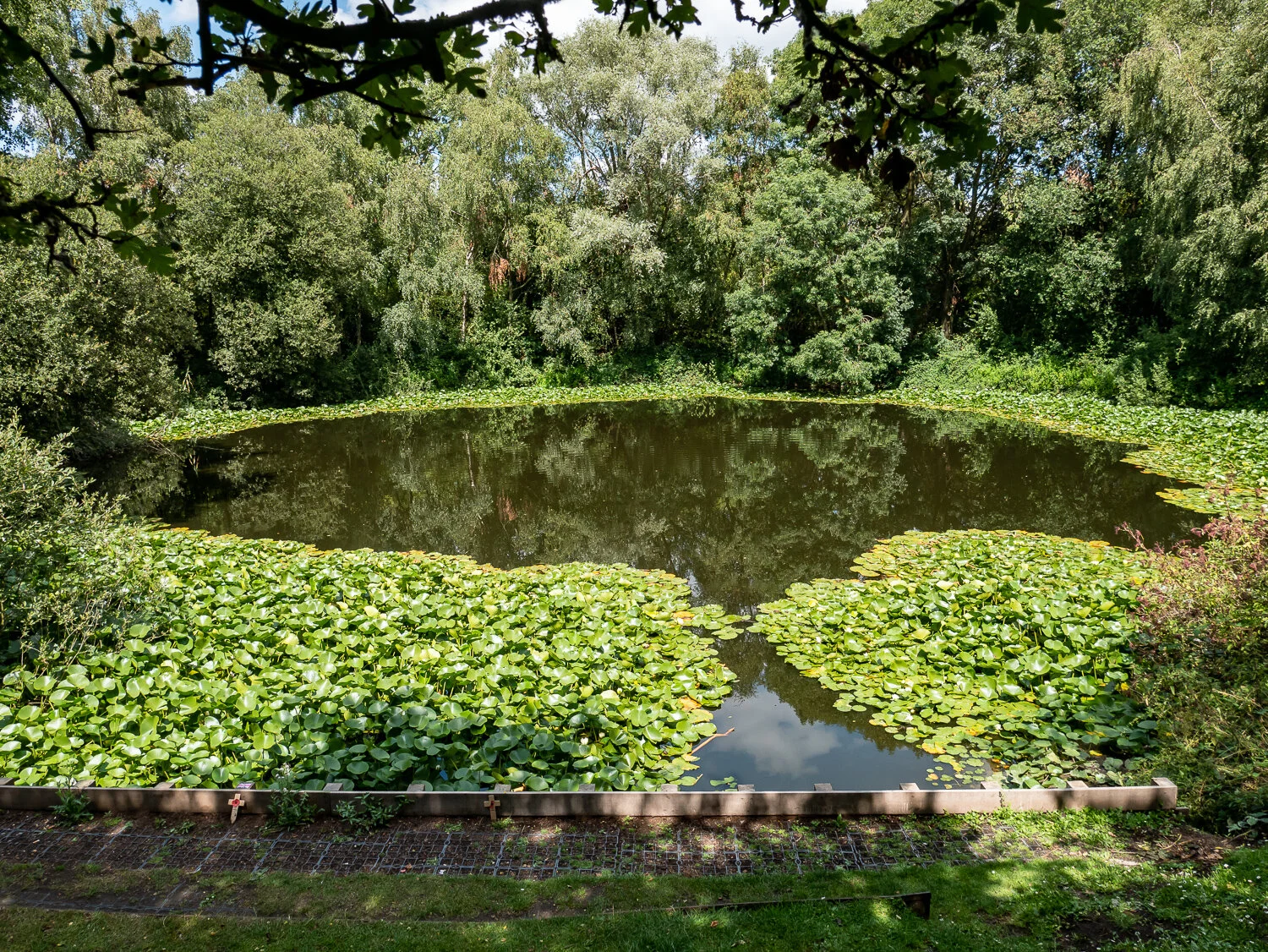 002-P1040206.jpg