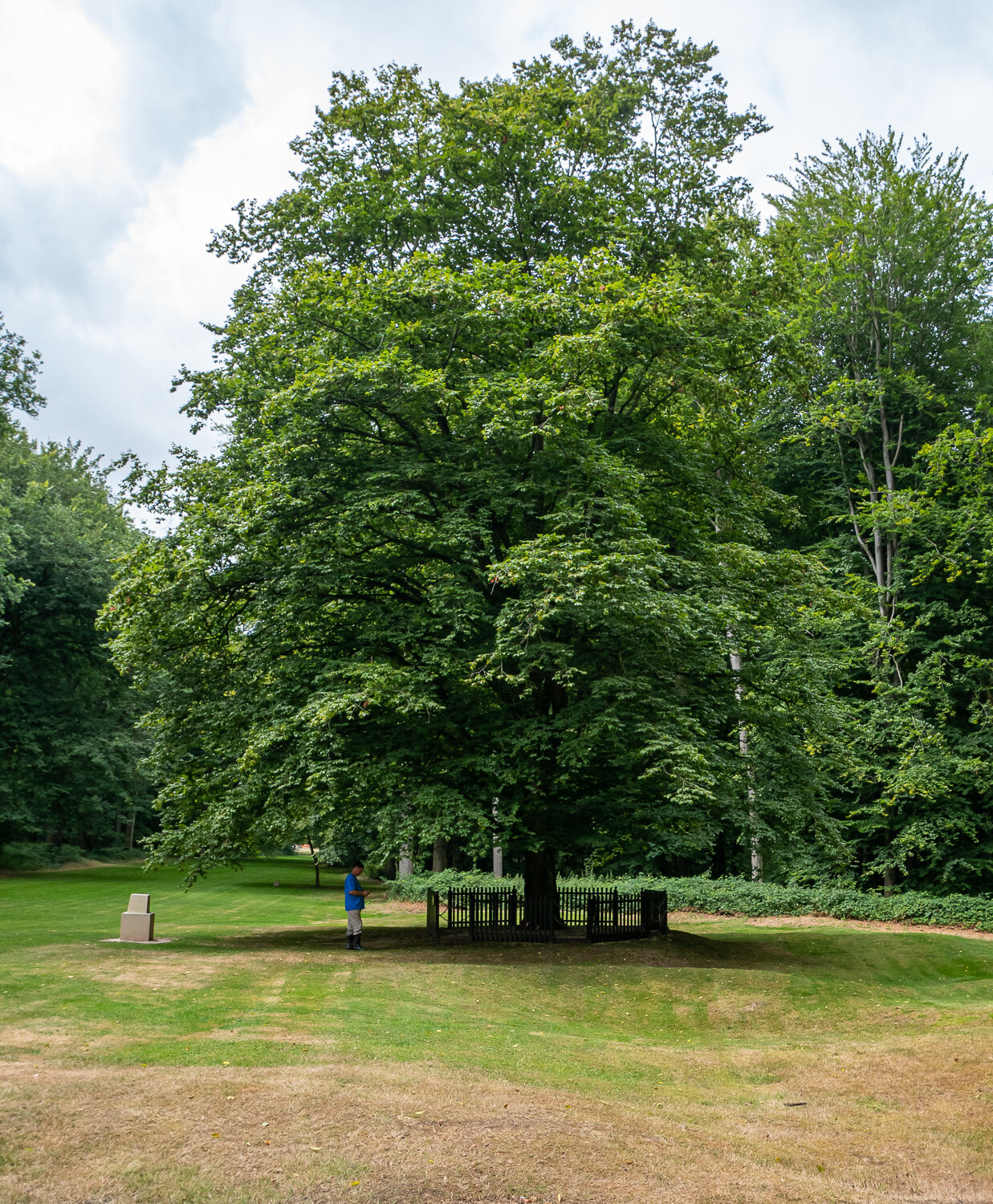 153-P1050175.jpg