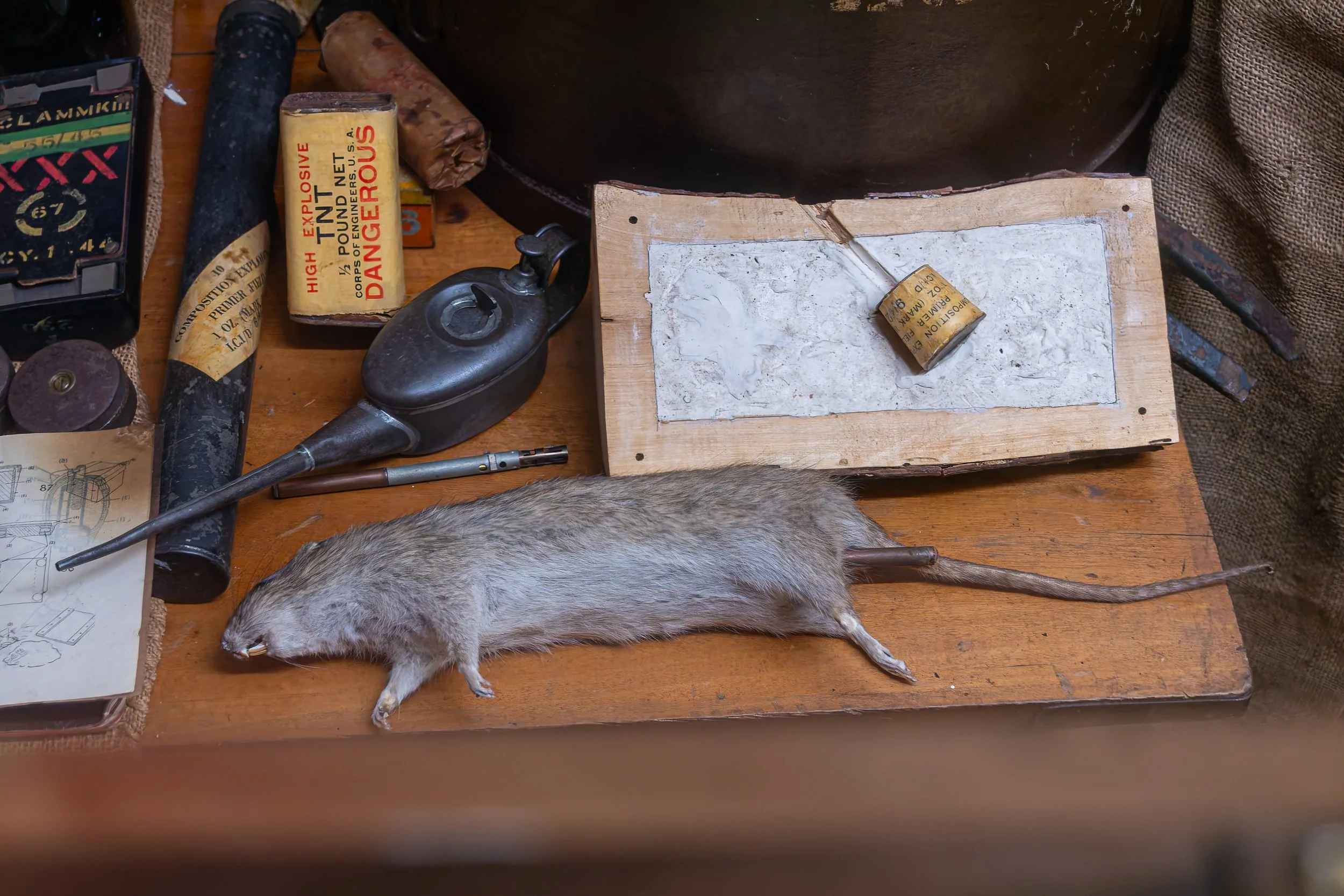 005-P1140600-20250920-DxO_DeepPRIME XD2s.jpg