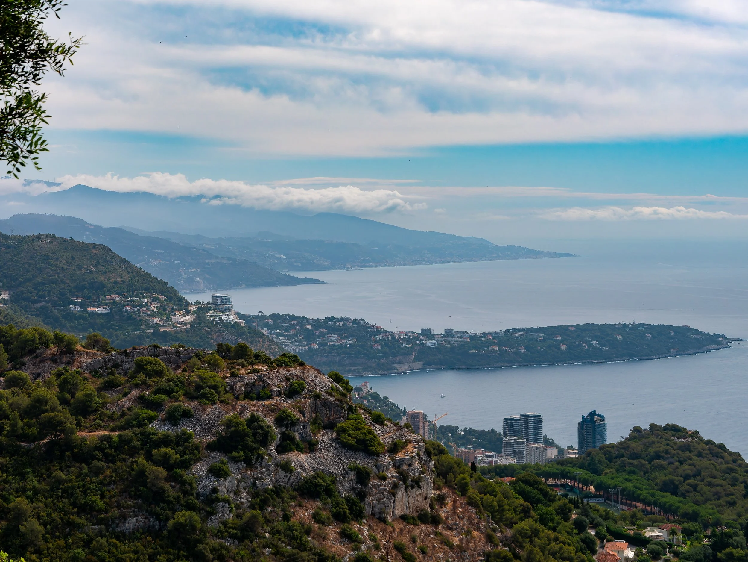 019-P1130359-20250724-DxO_DeepPRIME XD2s.jpg