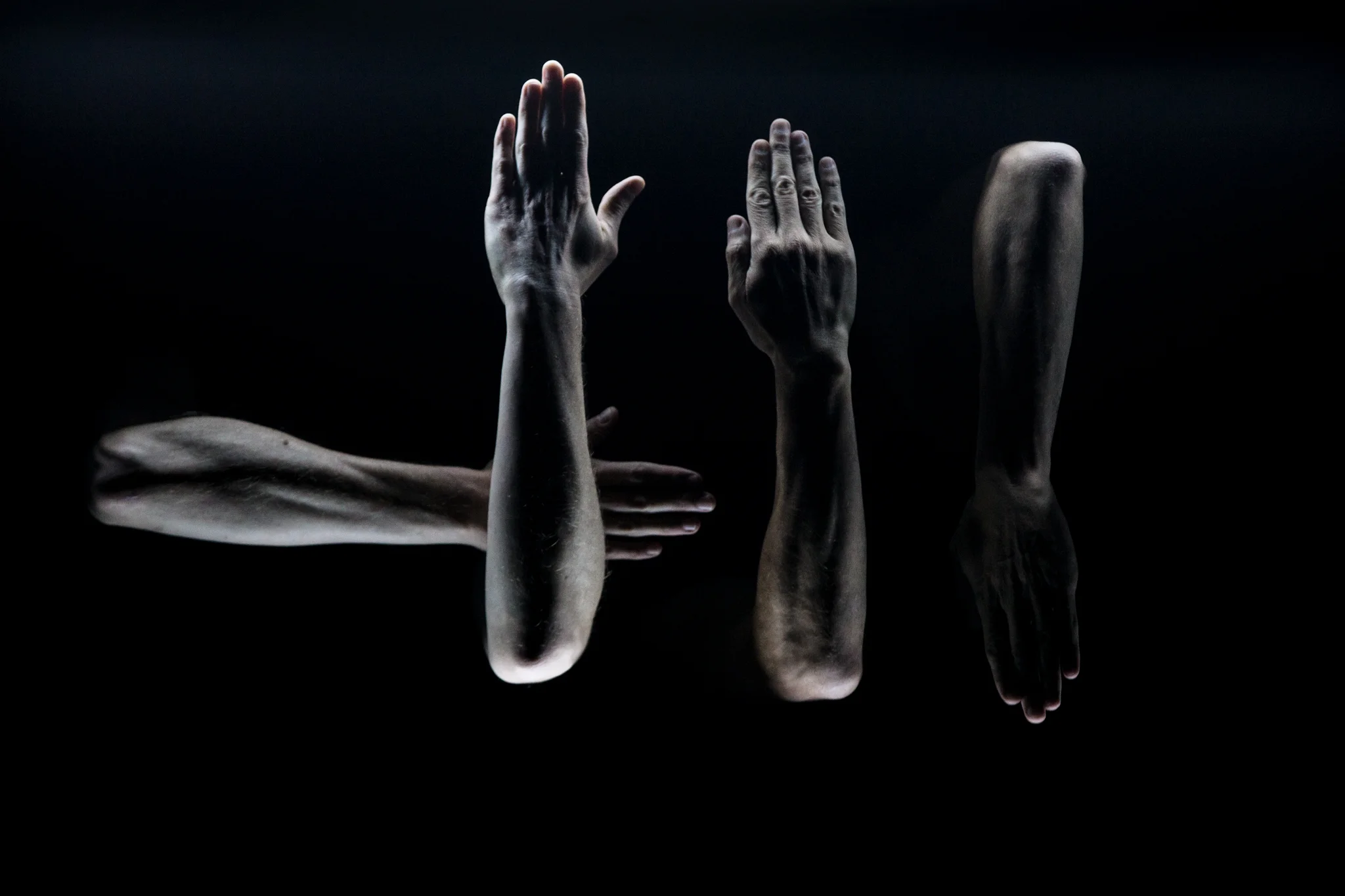 Hocus Pocus © Ryan Buchanan 003.jpg