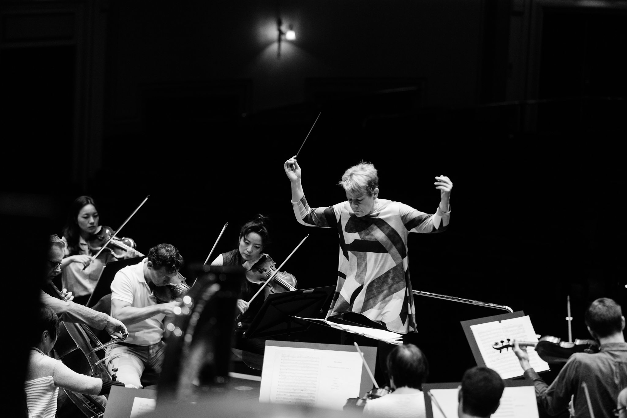 Baltimore Symphony Orchestra © Ryan Buchanan 014.jpg