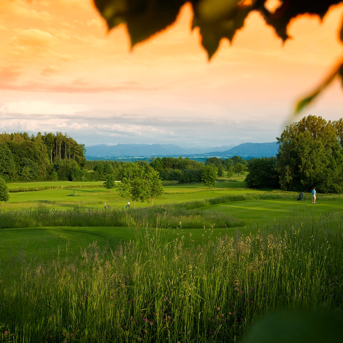 WOWI-GOLFTURNIER Bayern , 8. Juli 2016 > mehr Informationen > zur Bildergalerie