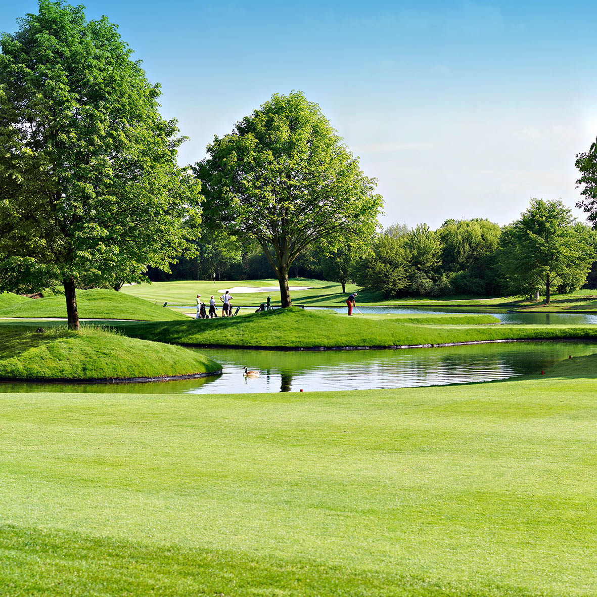 WOWI-GOLFTURNIER Nordrhein-Westfalen , 19. August 2016 > mehr Informationen > zur Bildergalerie