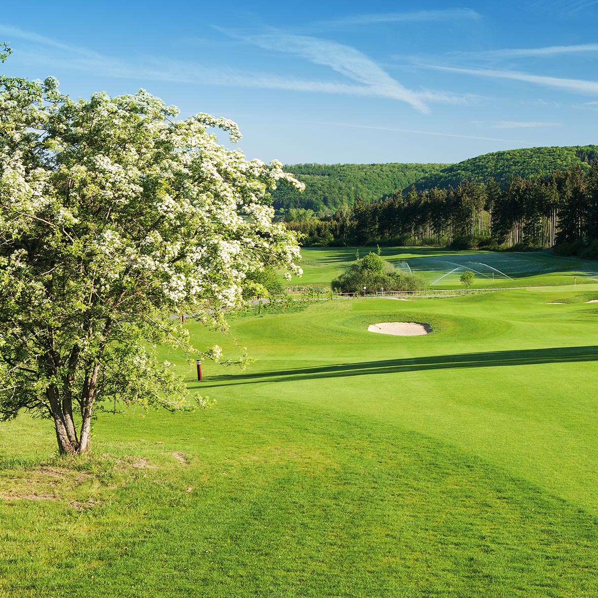 WOWI-GOLFTURNIER Sachsen-Thüringen , 15. Oktober 2016 > mehr Informationen > zur Bildergalerie
