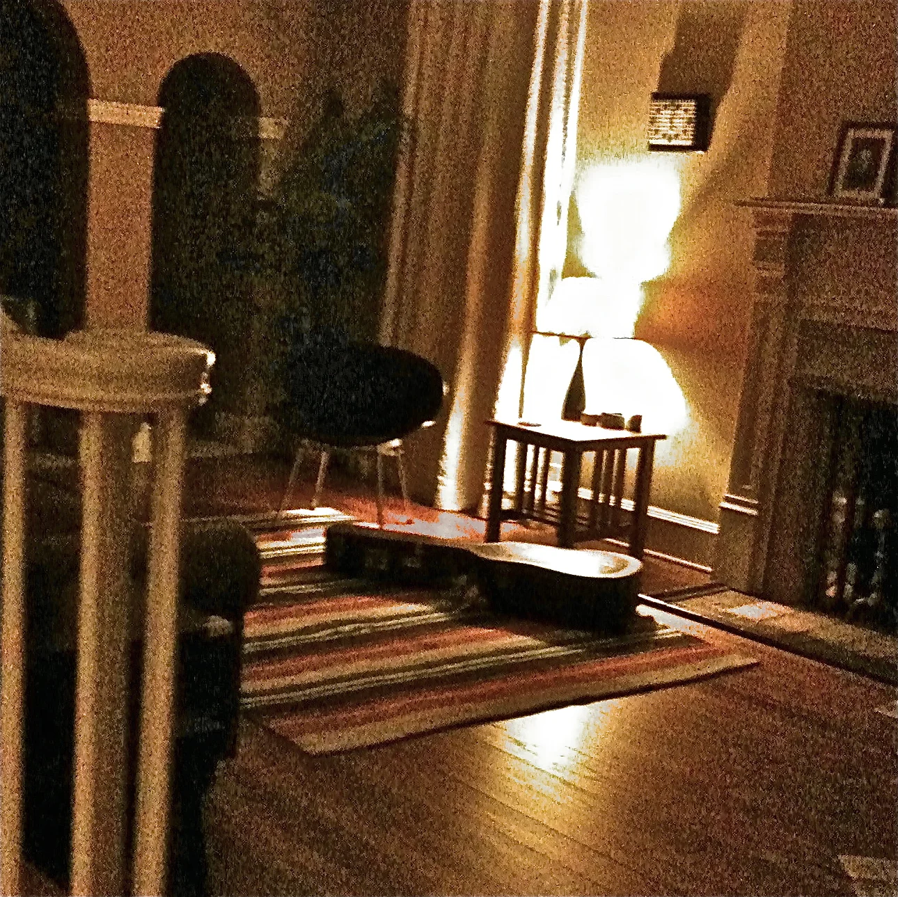 IMG_3680 copy 2.jpeg