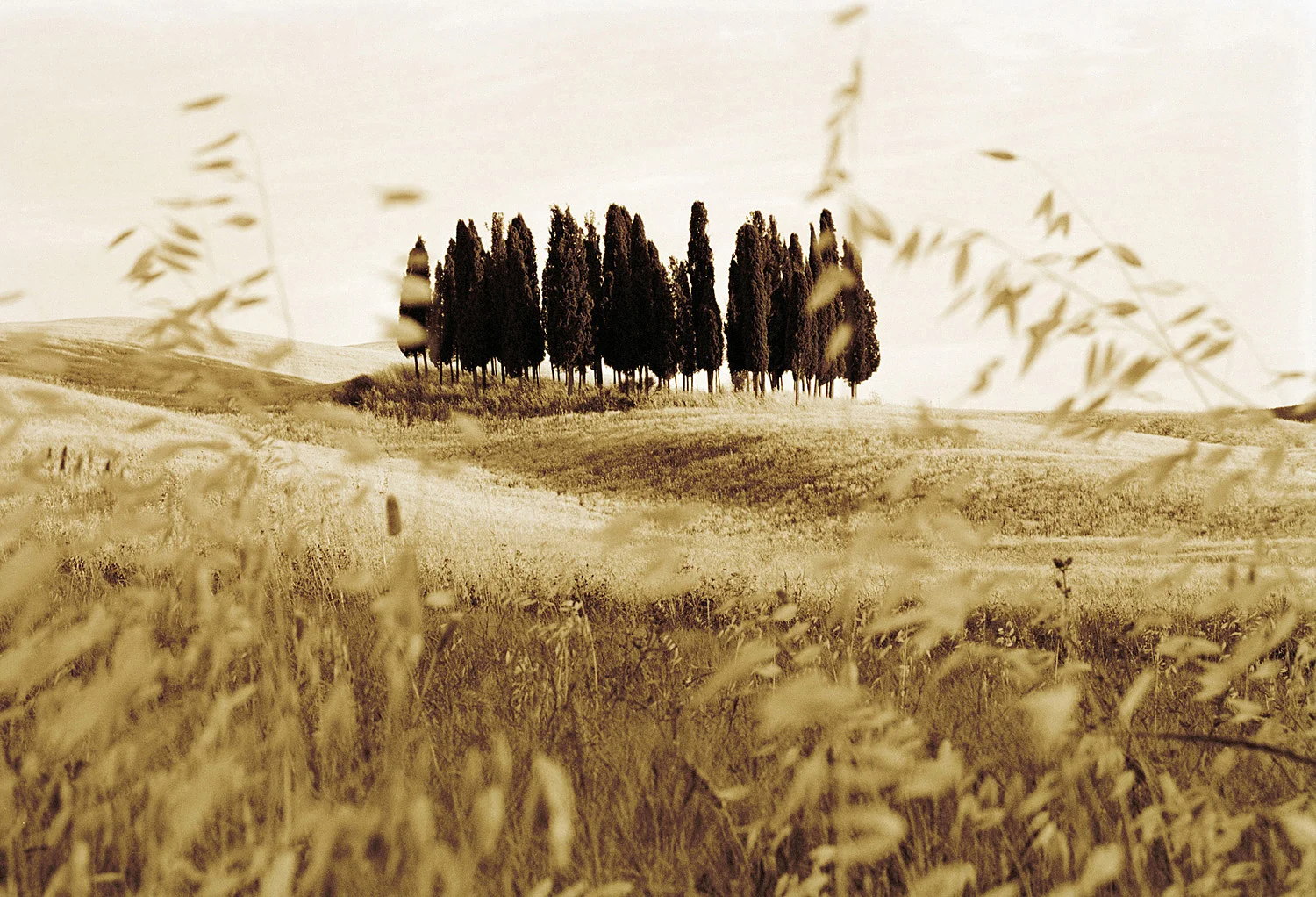 Tuscany, Italy.