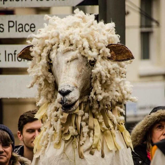 Golden Fleece Processional Sheeps head