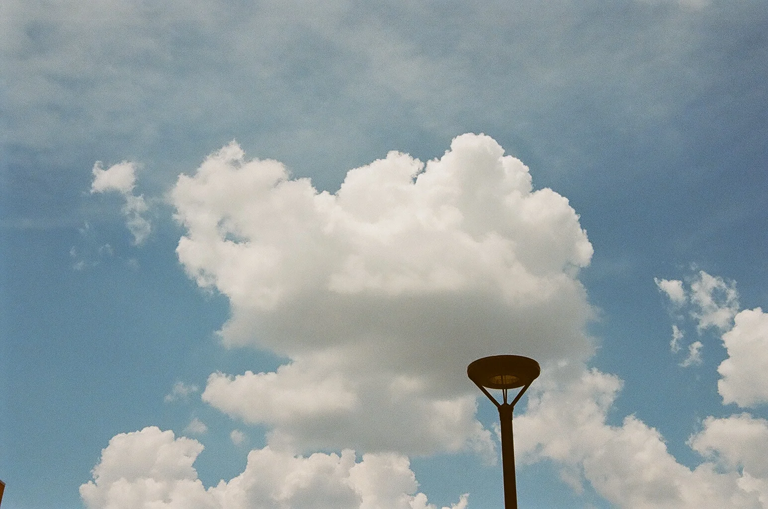 35420008.JPG