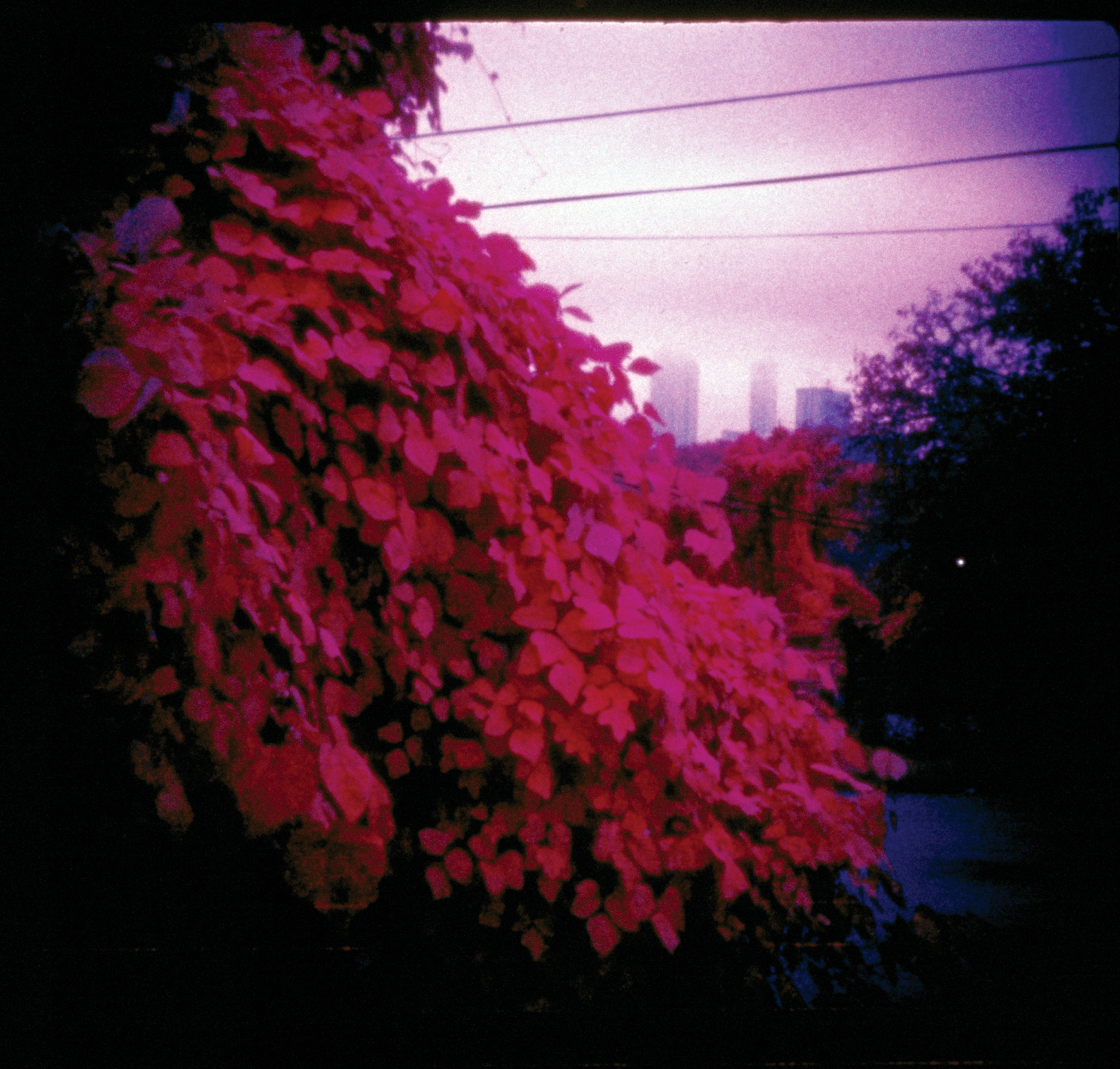08.jpg