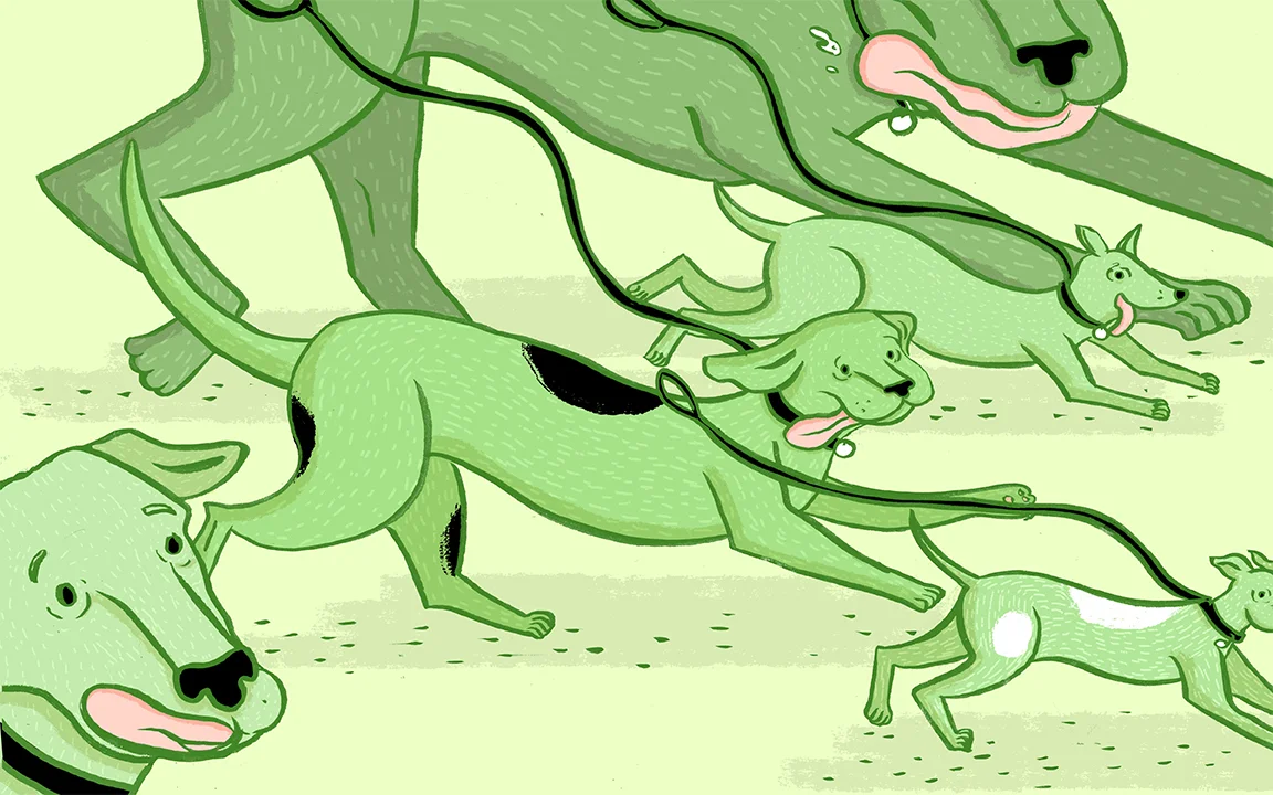 dogs_nagarajan.jpg