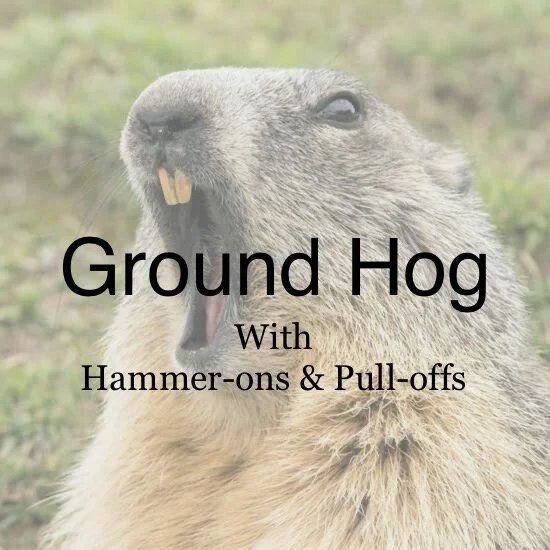 Ground Hog With Hammer-ons &amp; Pull-offs