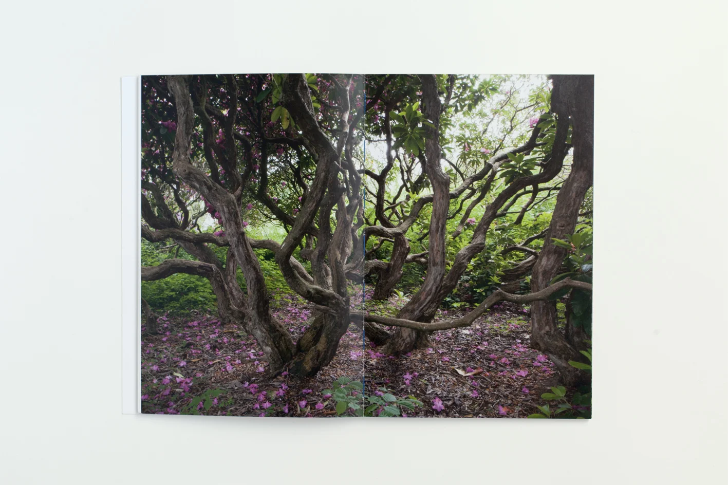 binnenboek #rs v2 copy.jpg