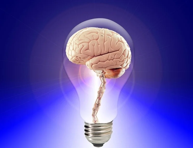 A brain inside a light bulb.
