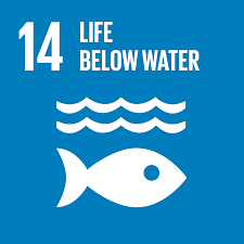 UN goal 14.png