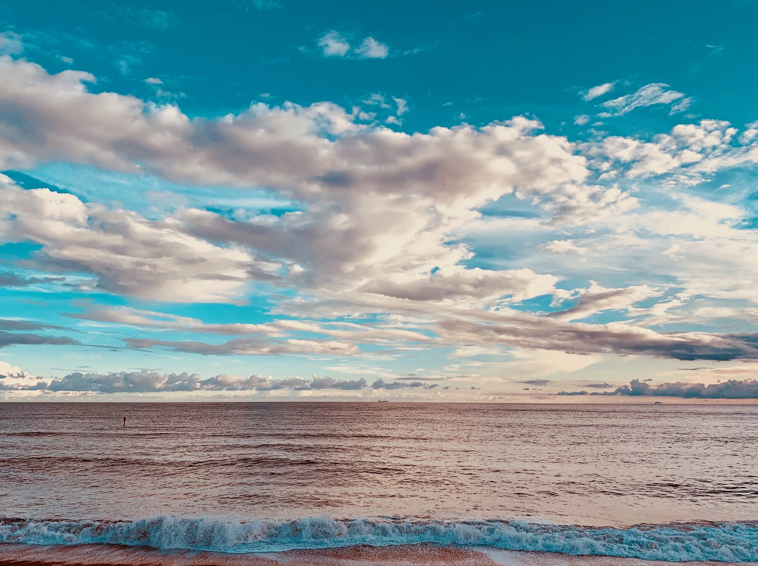 cropskyIMG-0450 (1).jpeg