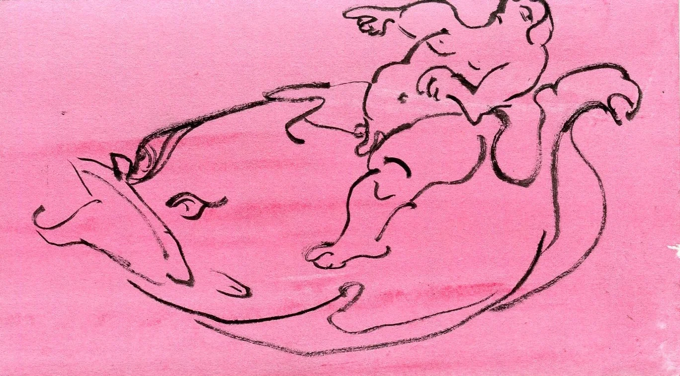Fat Cupid Pen on paper 10 x 17.5 cm