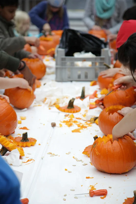 weckert_nwz_kuerbis_halloween1.jpg