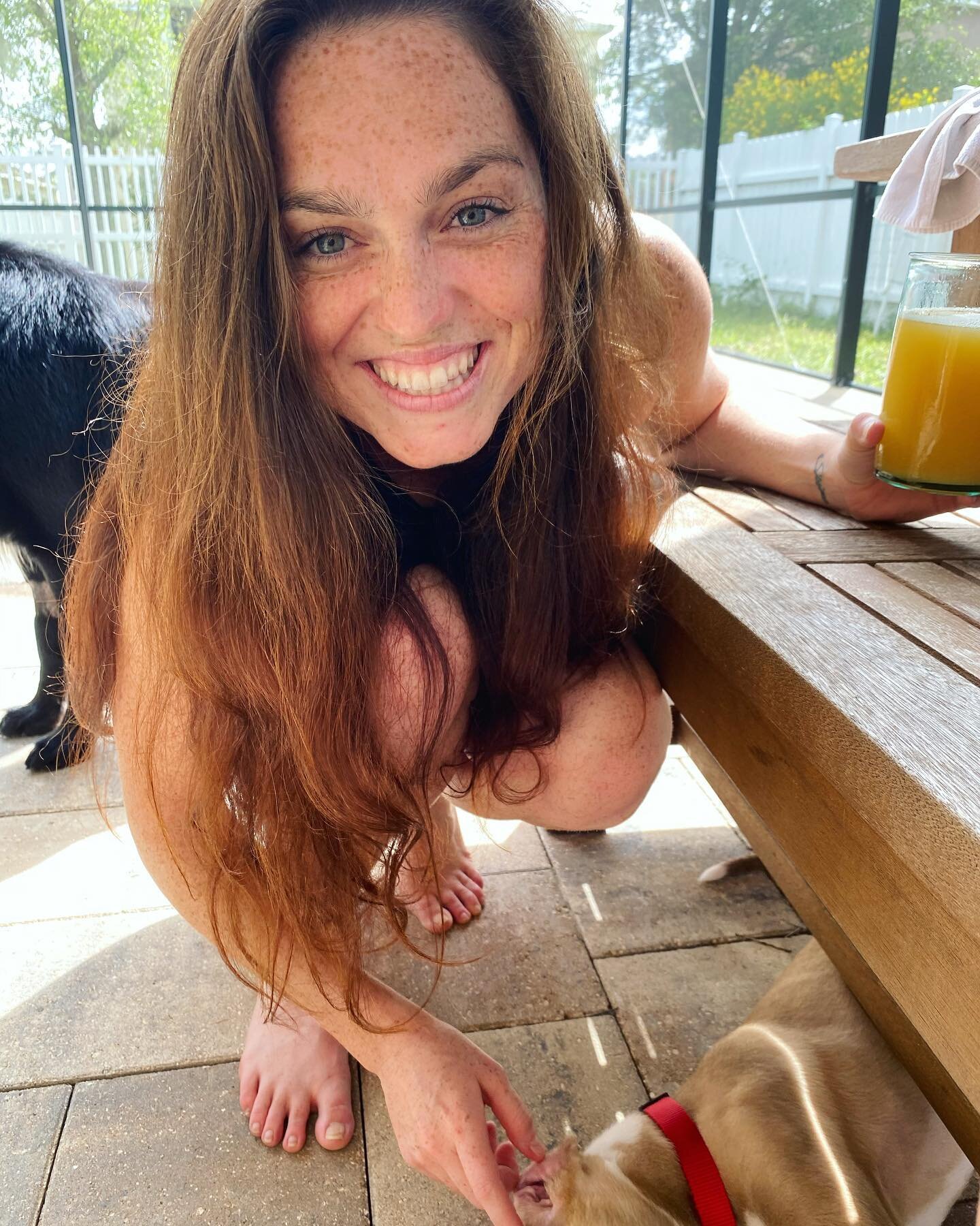 A pup and a beer? Am I in heaven?