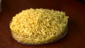 Rice