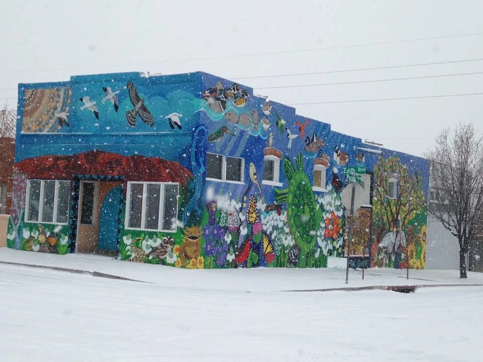 Special thanks to Jeff Hartzer, of Bunnytown, for this beautiful winter wonderland shot - January 1, 2019.