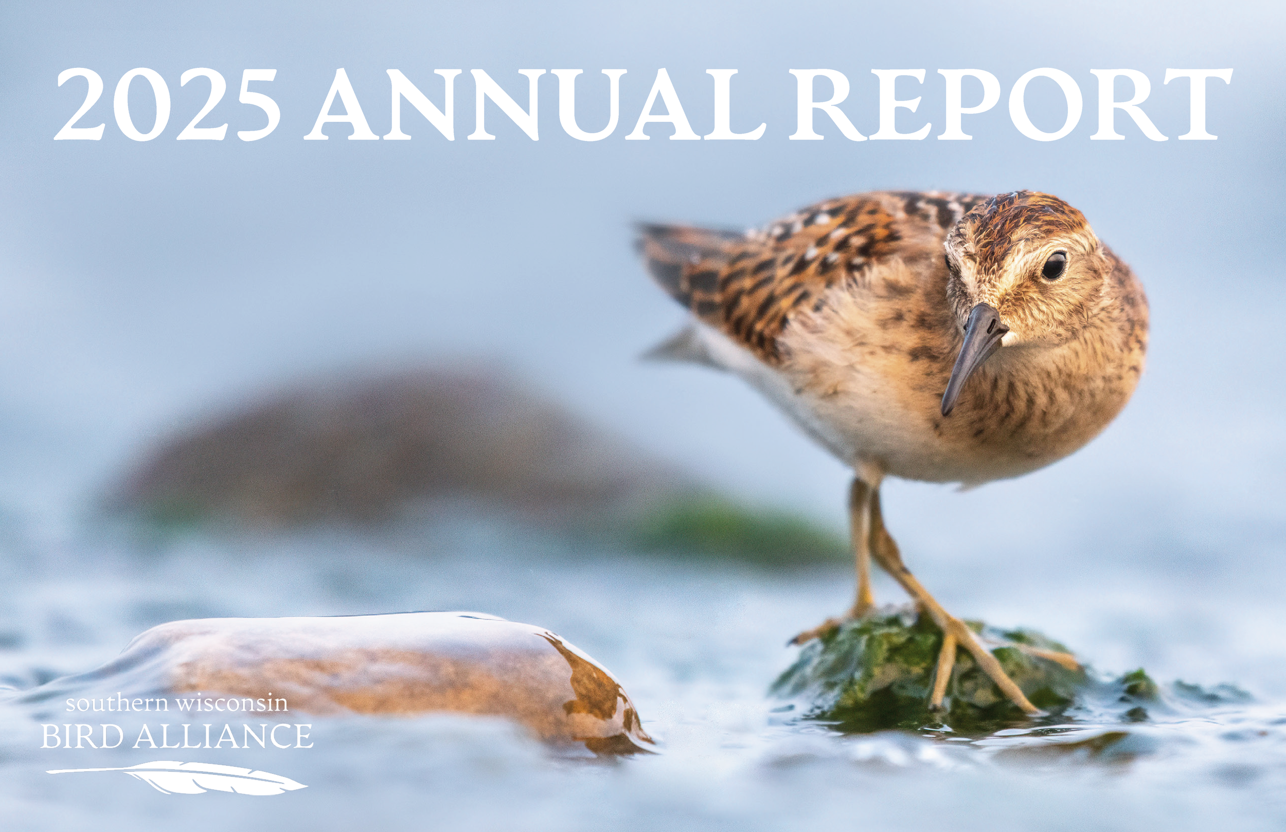 2025 Annual Report
