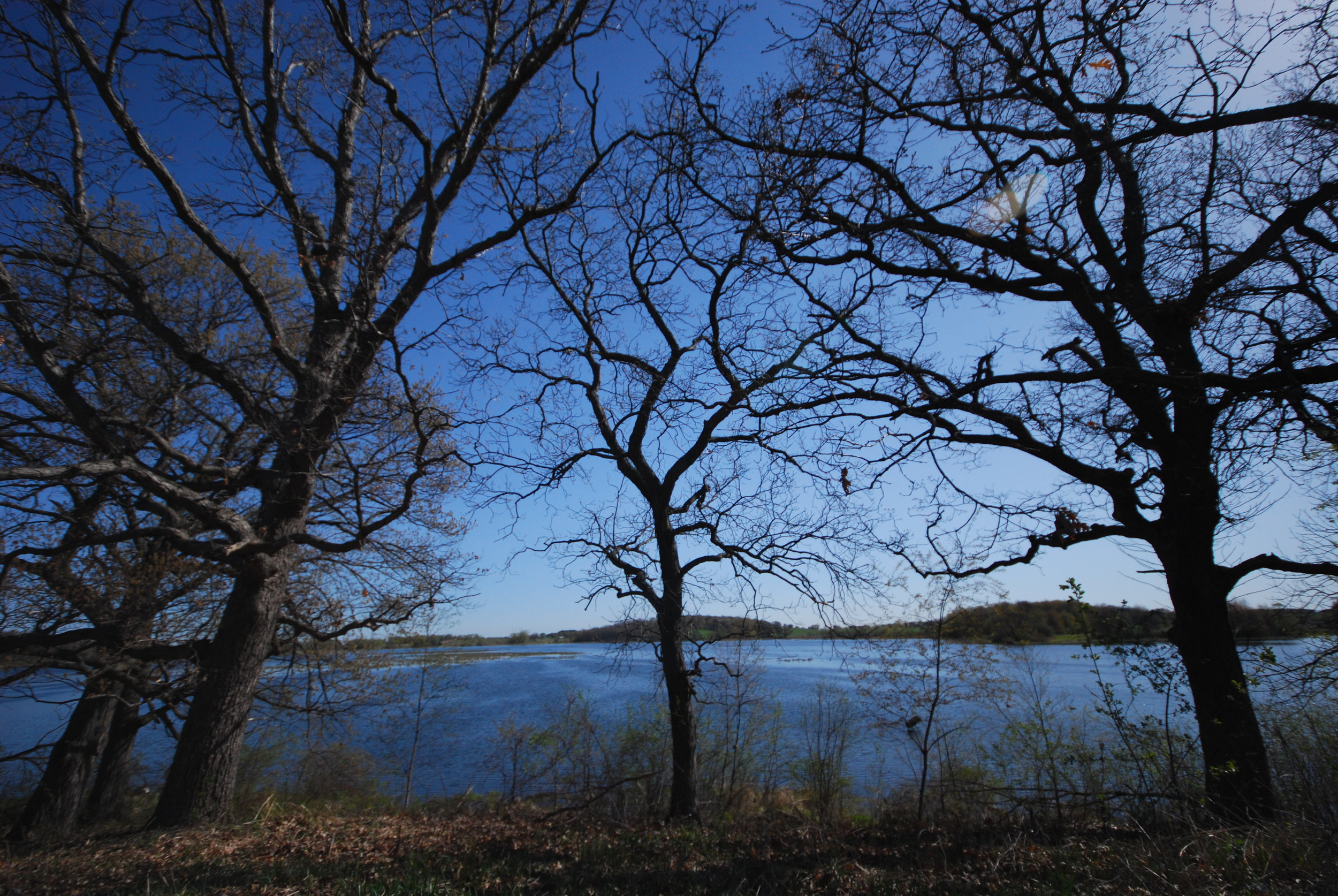 Rose Lake State Natural Area in Jefferson County