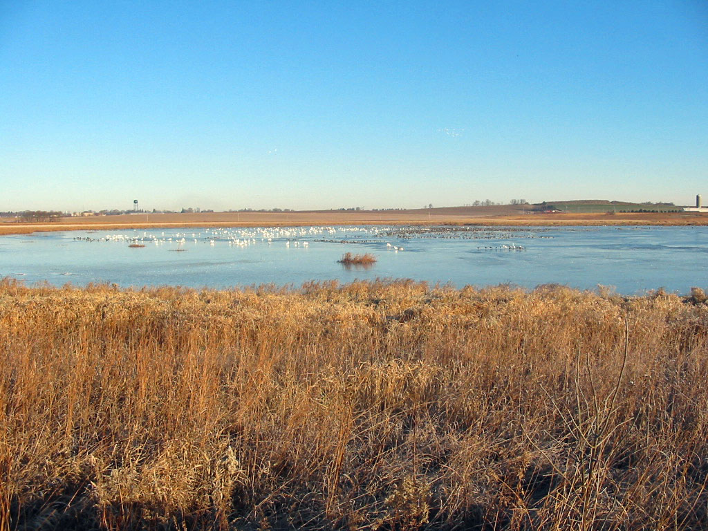 Enjoy the beauty of the landscape any time of year.