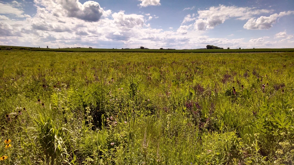 Goose Pond Sanctuary — Southern Wisconsin Bird Alliance