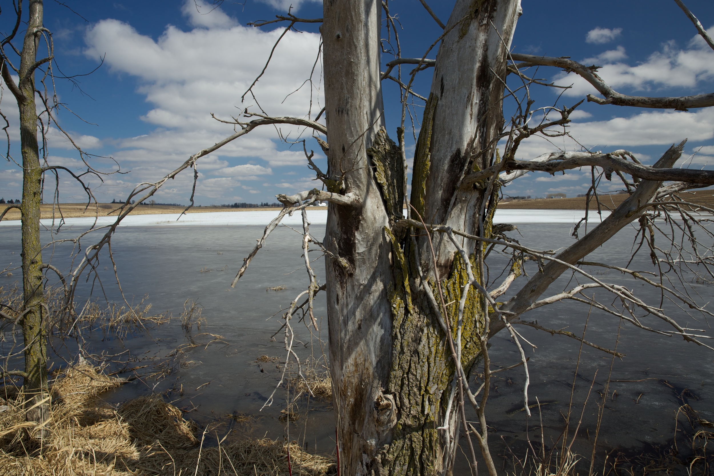 Late winter at Goose Pond