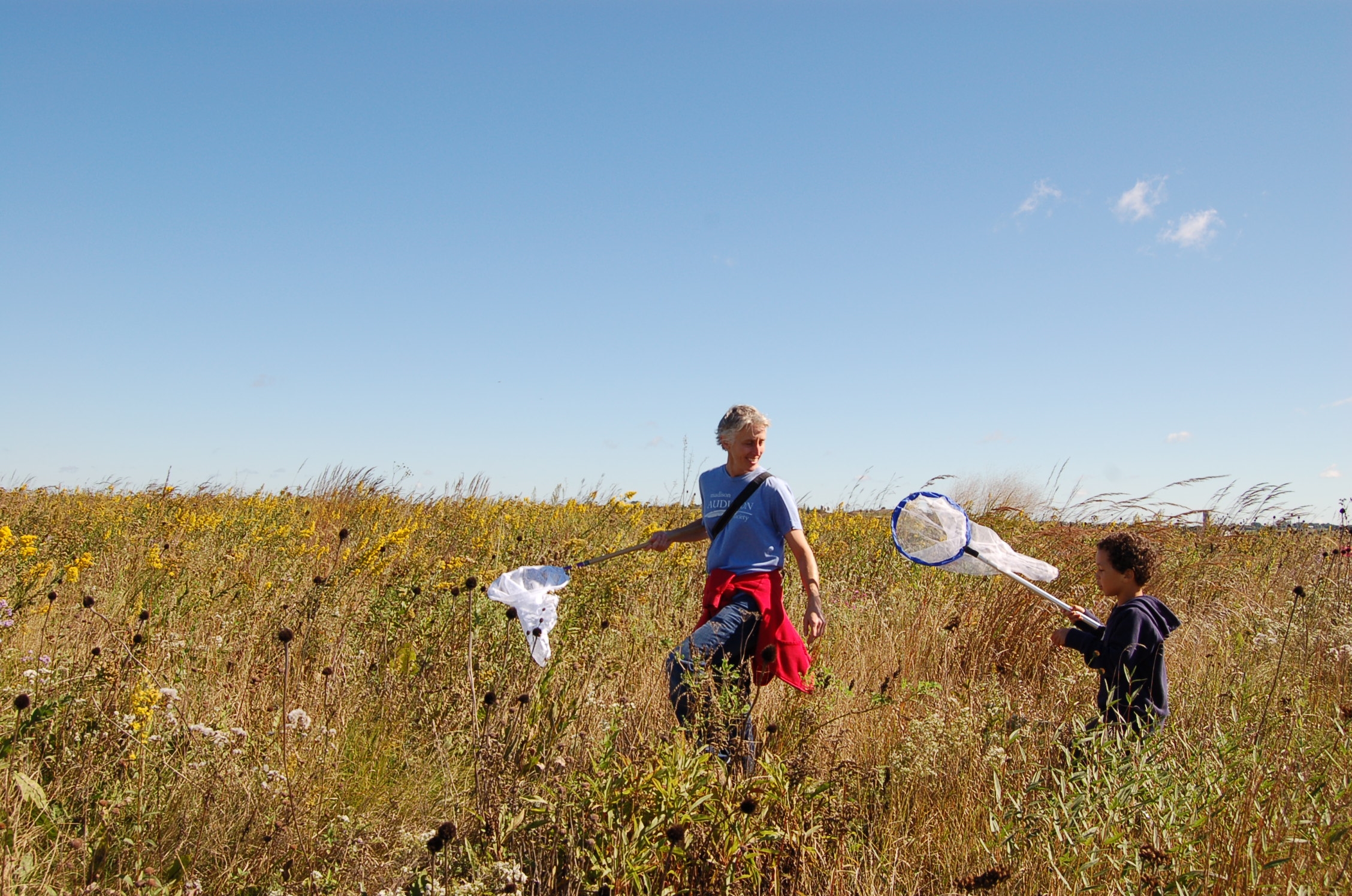 In search of monarchs