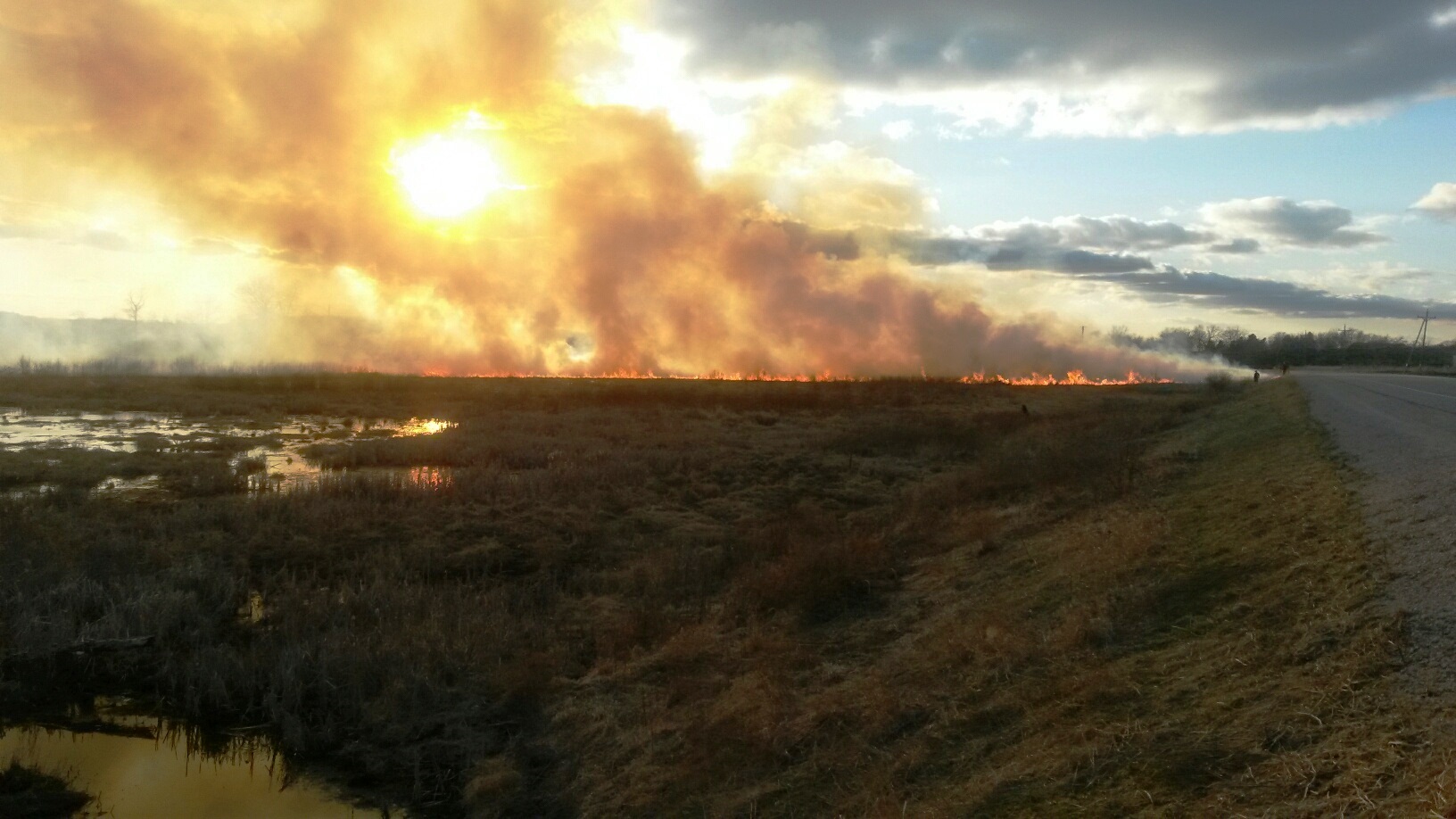 A spring prairie burn revitalizes the landscape