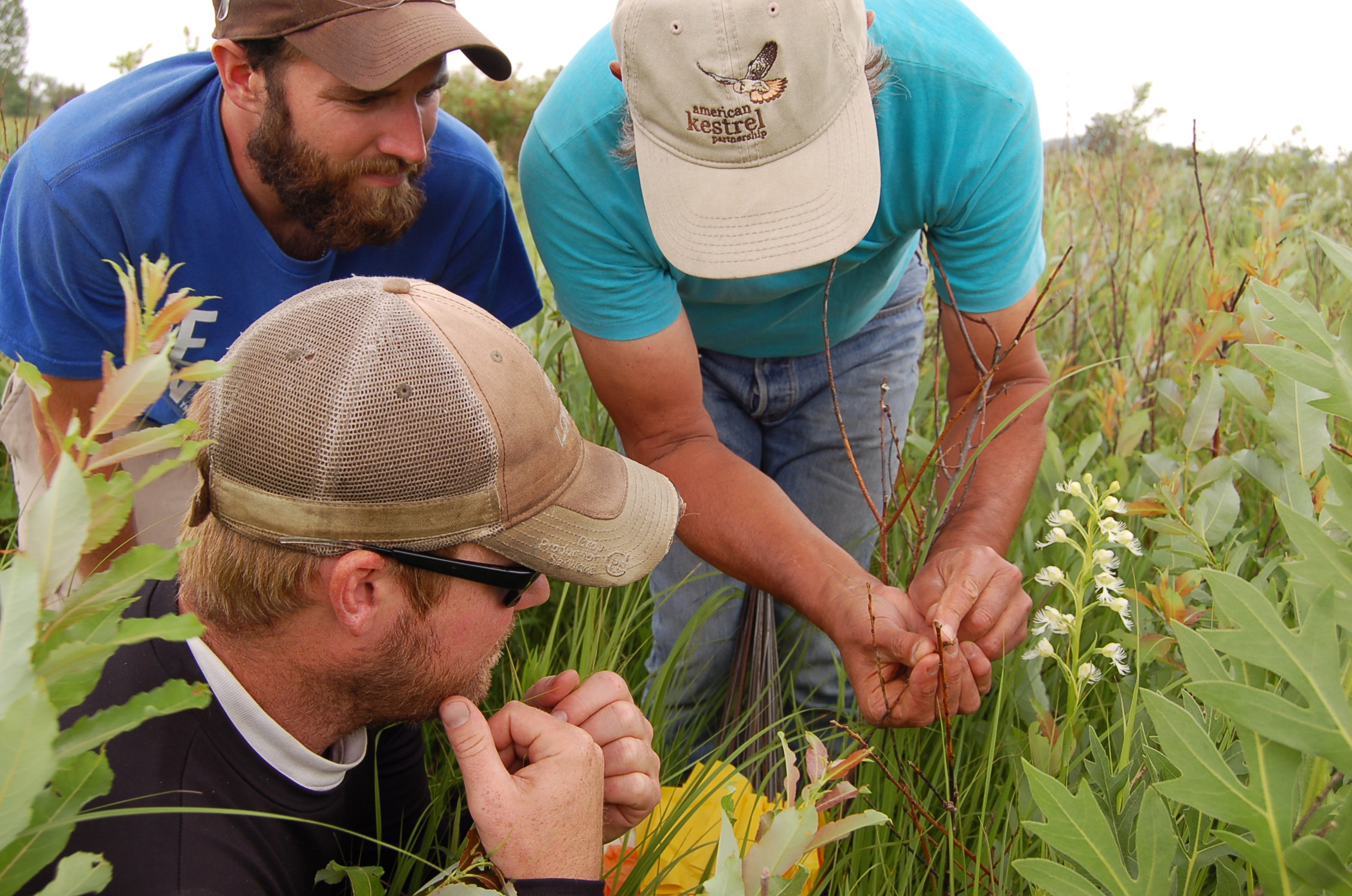Sanctuary manager David Musolf explains pollination of the state-endangered prairie white-fringed orchid.