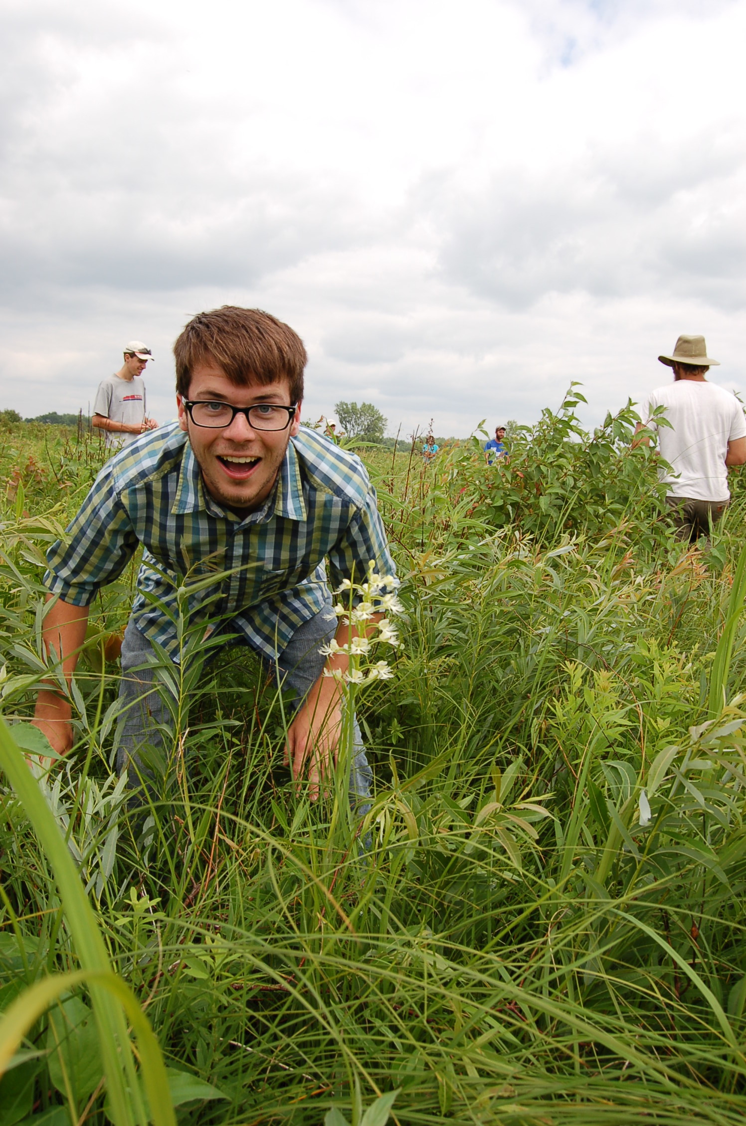 We partner with the UW Arboretum to manage Faville Prairie, where the state endangered eastern white-fringed prairie orchid has a robust population