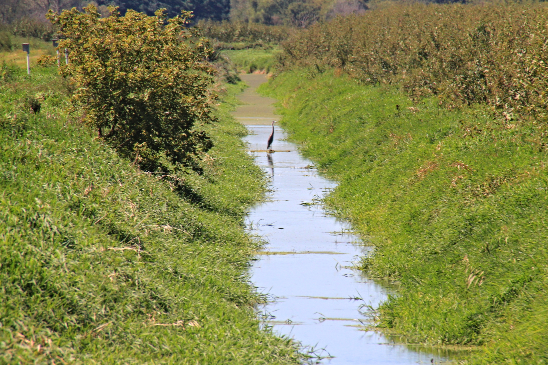 Zeloski Marsh
