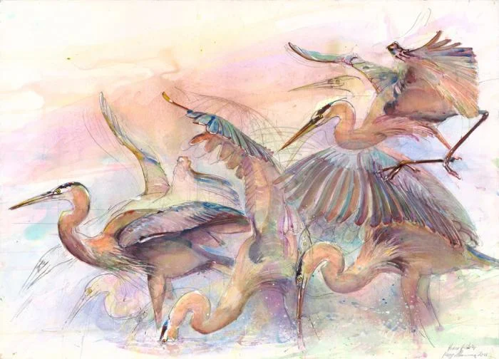 Behind the Scenes at Chicago's Field Museum: The Art & Science of Birds