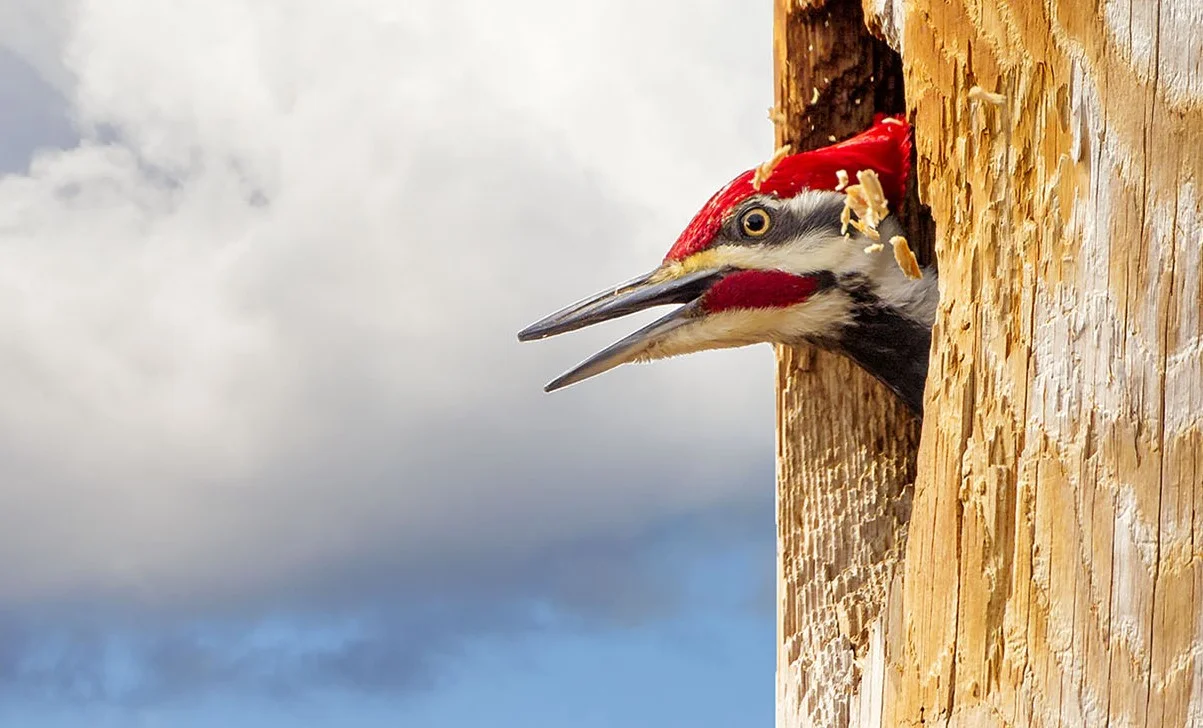 Welcome to our new site!