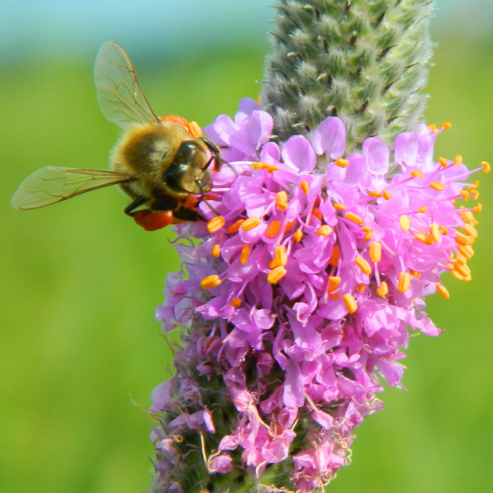 We're seeking candidates for our Board of Directors