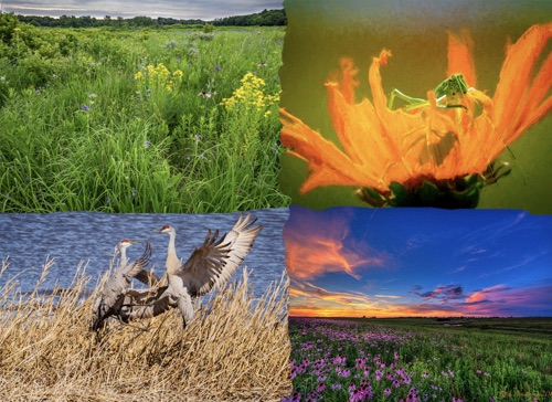 Photography by Rich Armstrong, featuring Goose Pond