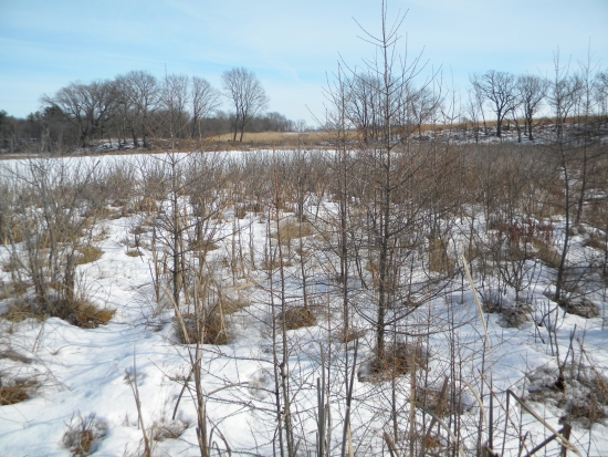 The General can be seen, looking out once again on a familiar vista of prairie, savanna, open water, and sphagnum bog.