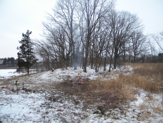 The General still obscured behind the limbs of more invasive woodland trees; yet in the foreground: hope. This woodland restoration will bring savanna back to the General.