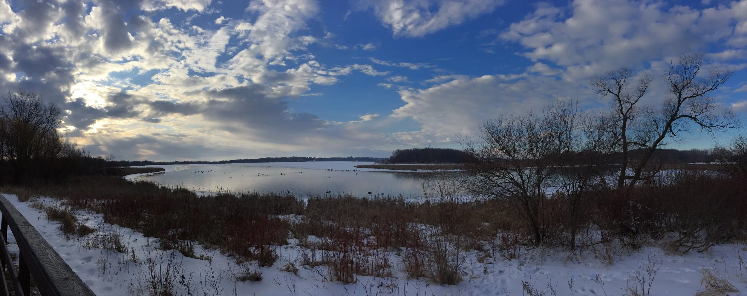 Early Spring Migrants at Lower Mud Lake