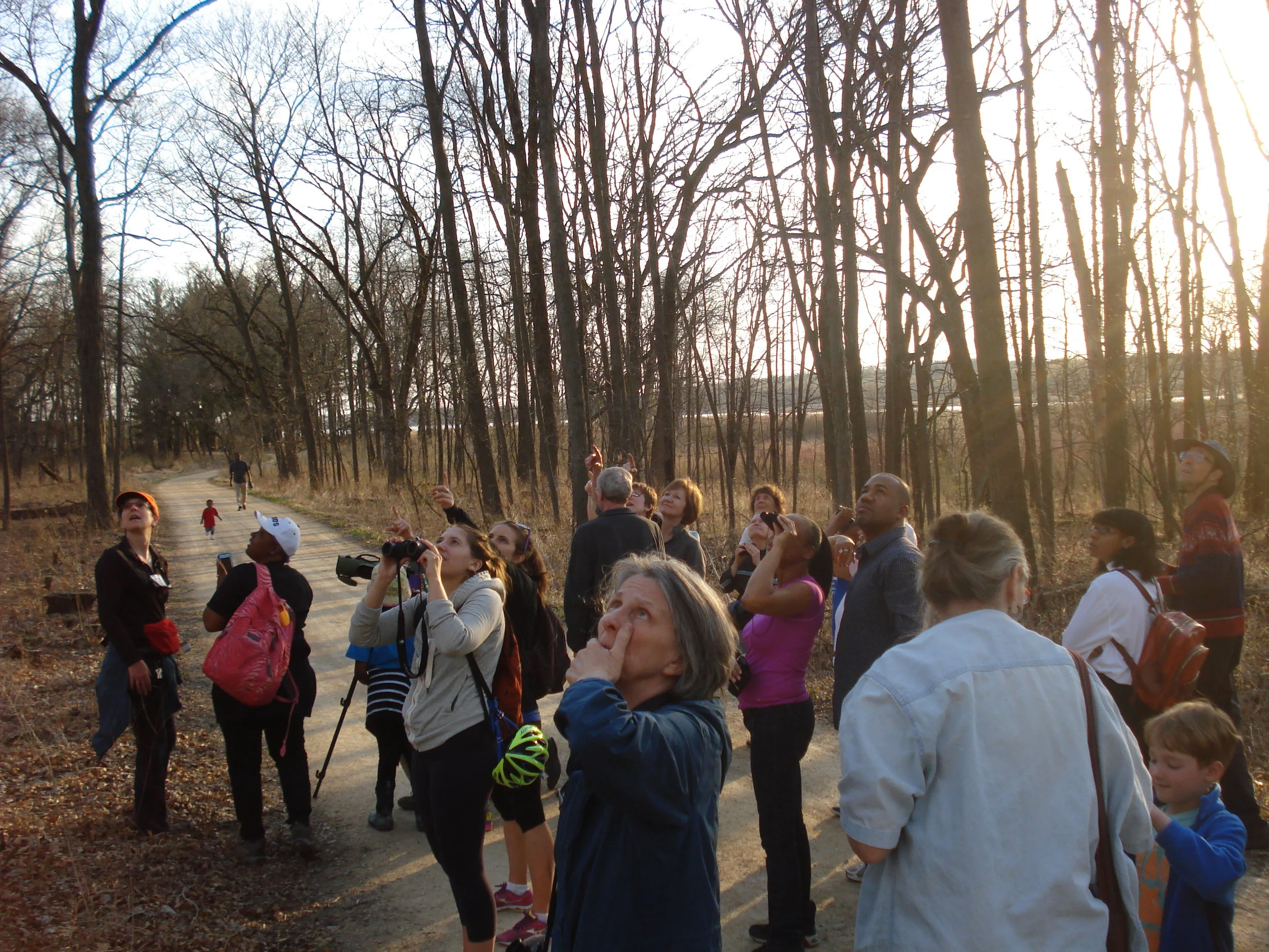 Evening at Cherokee Marsh