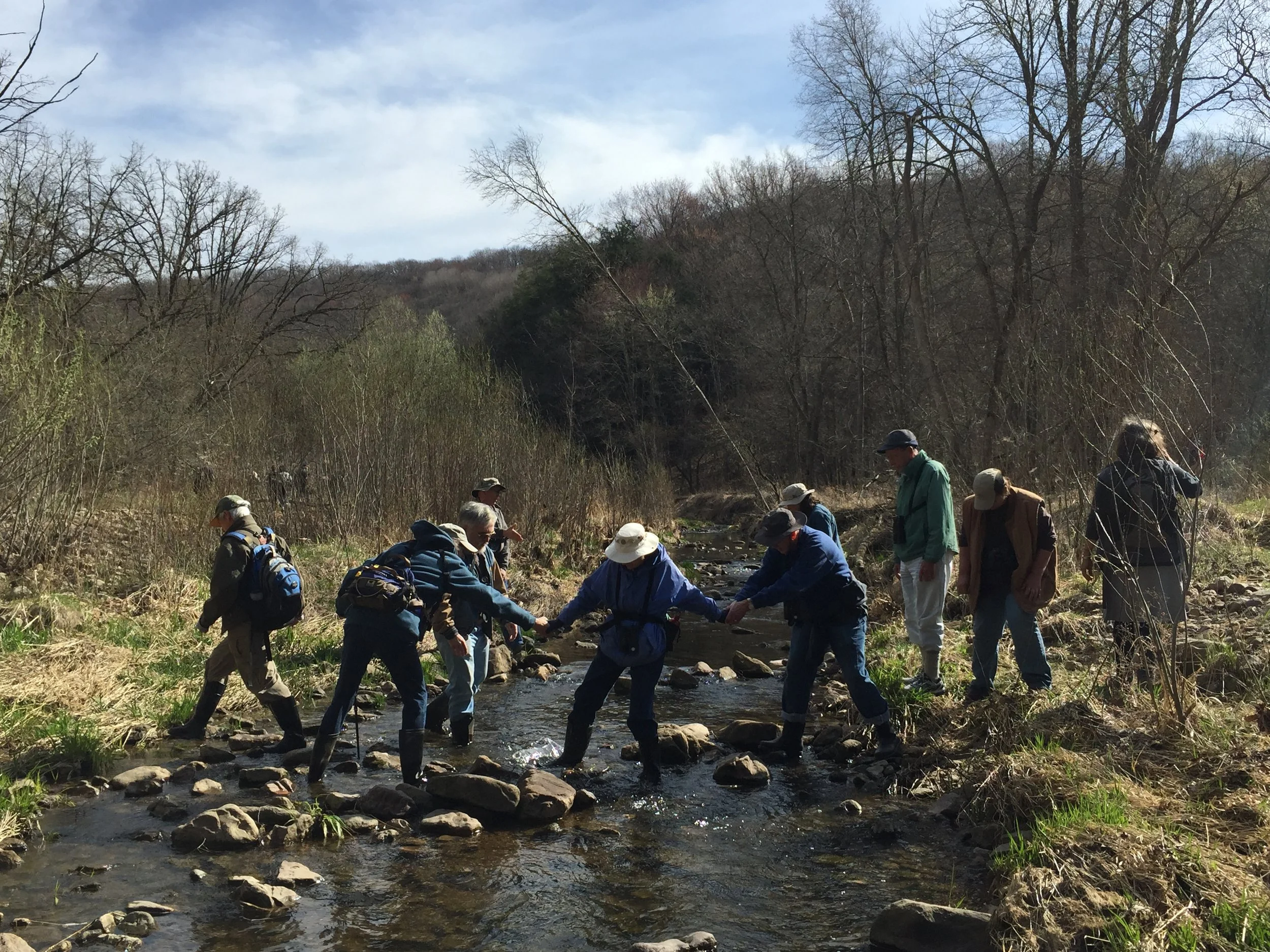 Spring Birds and Wildflowers of  the Baraboo Hills
