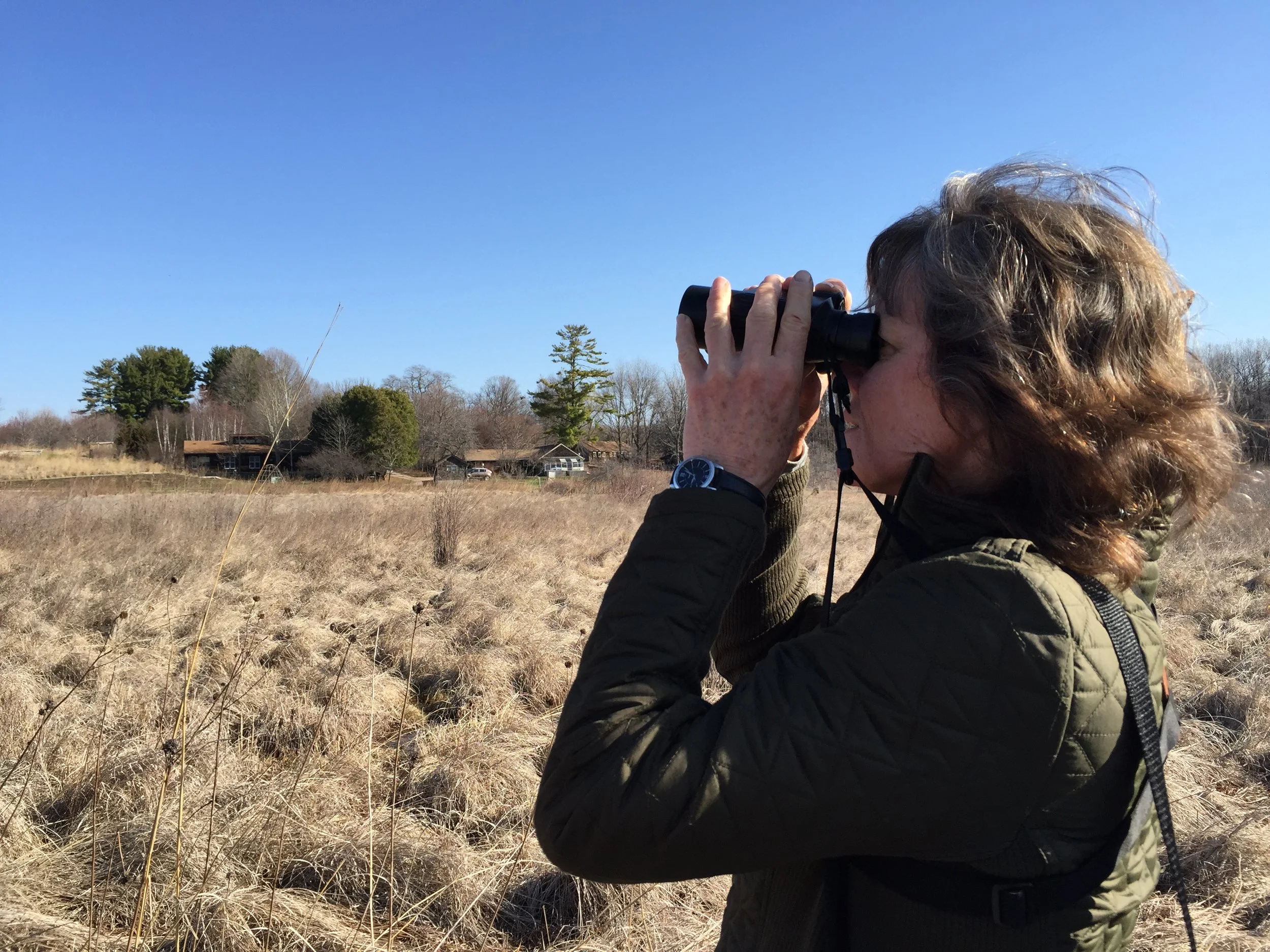 Beyond Backyard Birding