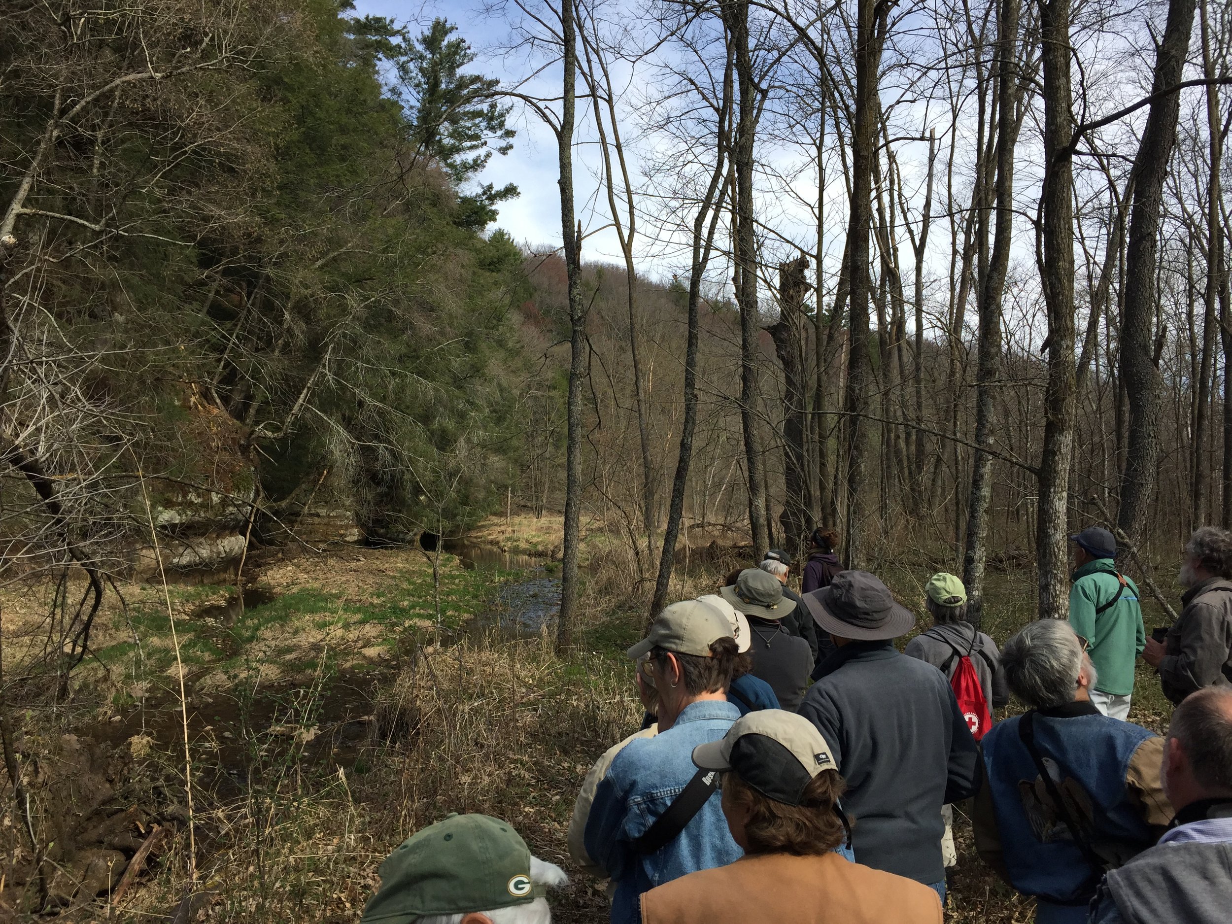 Birding at Baxter’s Hollow