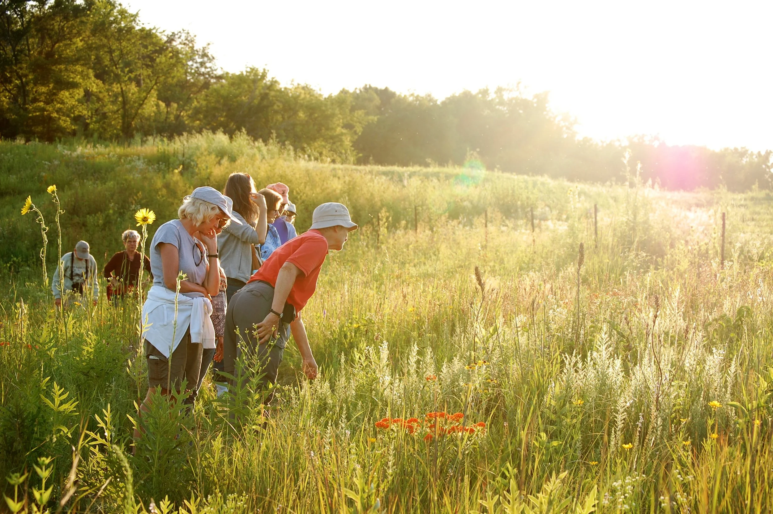 Evening at Black Earth Rettenmund Prairie
